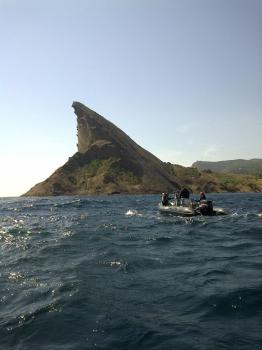 IMG-20110504-00163